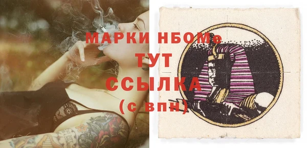 ПСИЛОЦИБИНОВЫЕ ГРИБЫ Михайлов