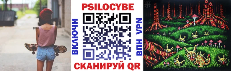 Псилоцибиновые грибы Psilocybe  купить   Сухиничи 
